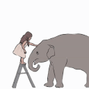 Meisje die olifant aait